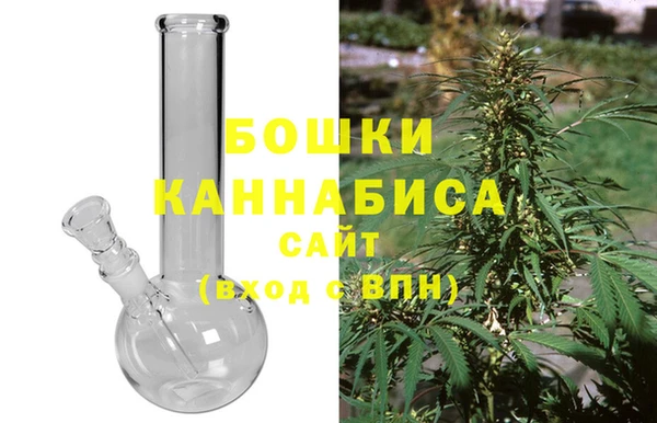 сатива Дмитровск
