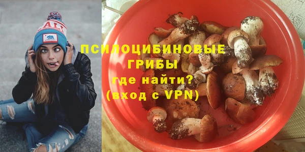 индика Дмитров
